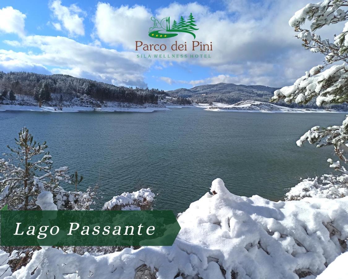 Parco Dei Pini - Sila Wellness Hotel ตาแวร์นา ภายนอก รูปภาพ