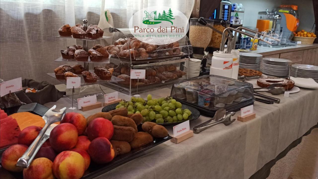 Parco Dei Pini - Sila Wellness Hotel ตาแวร์นา ภายนอก รูปภาพ