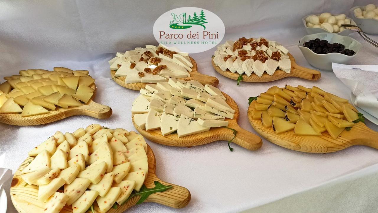 Parco Dei Pini - Sila Wellness Hotel ตาแวร์นา ภายนอก รูปภาพ